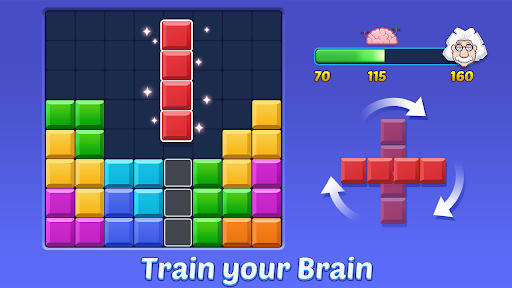 Block Puzzle Screenshots