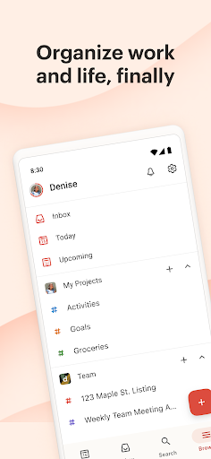Todoist: Planner & Calendar Screenshots