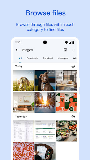 Files by Google Screenshots