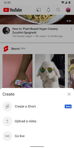 YouTube Screenshots