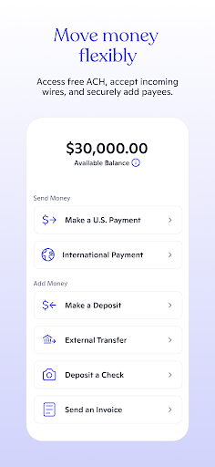 Novo - Small Business Checking Screenshots