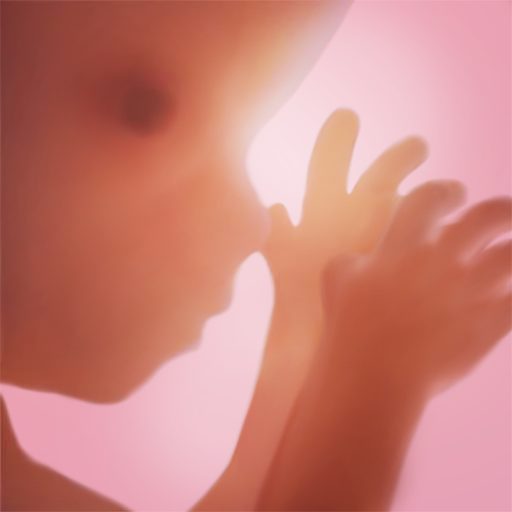 Pregnancy + | Tracker App Icon