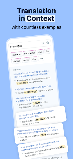 Reverso Translate and Learn Screenshots