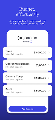 Novo - Small Business Checking Screenshots