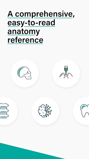 Teach Me Anatomy Screenshots