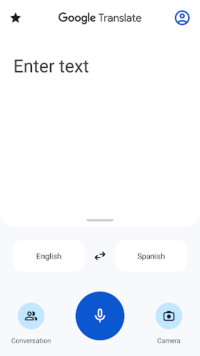Google Translate Screenshots