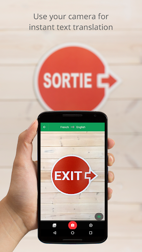 Google Translate Screenshots