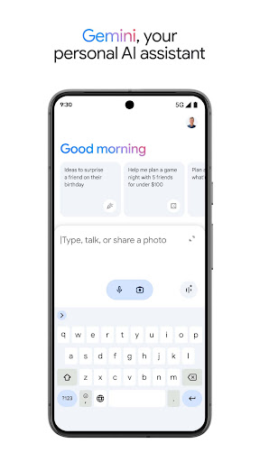 Google Gemini Screenshots