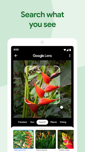 Google Photos Screenshots