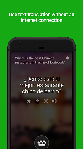 Microsoft Translator Screenshots