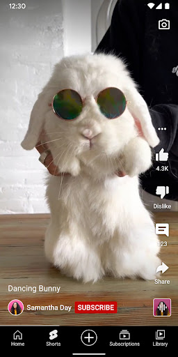 YouTube Screenshots