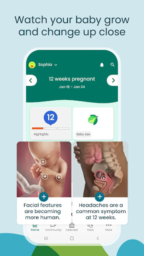 Pregnancy App & Baby Tracker Screenshots