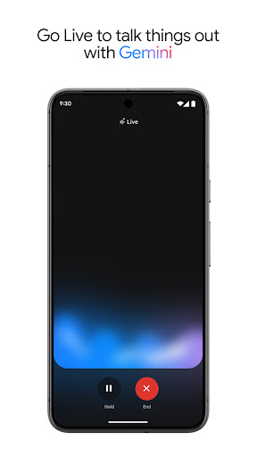Google Gemini Screenshots