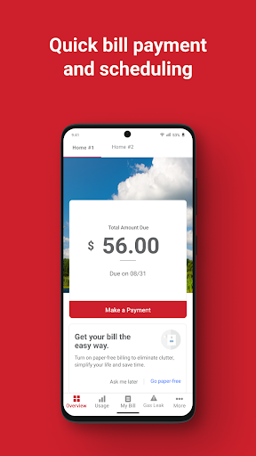 Michigan Gas Utilities (MGU) Screenshots